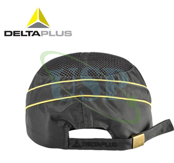 Delta Plus